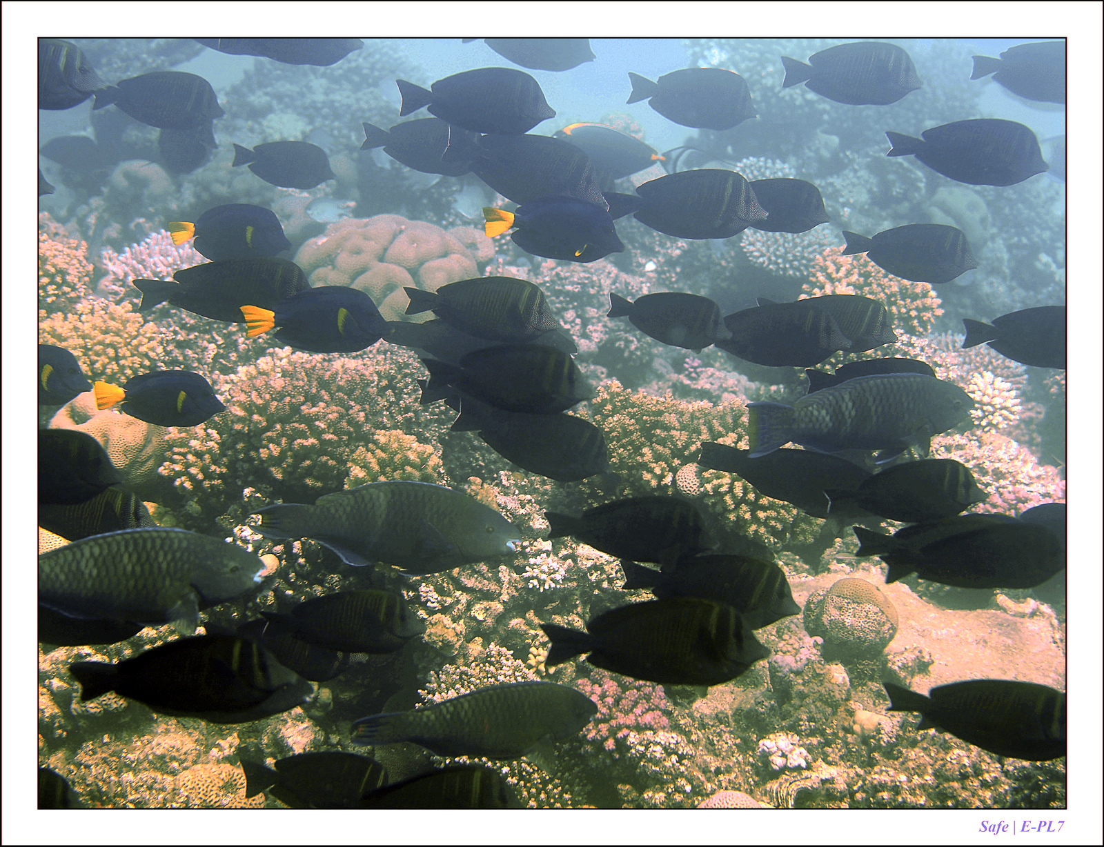 Hurghada - Juillet 2021 - 059